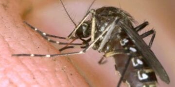How bad will the bugs be this summer?