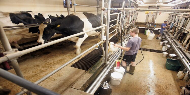 Farmers look to apps for help