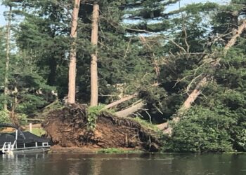 Power restoration, damage cleanup ongoing