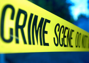 Gene’s Blog: Anyone else bothered by this?