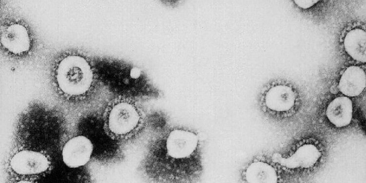 CDC confirms second case of Coronavirus inside United States
