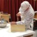 Going behind the scenes at the 2020 World Championship Cheese Contest