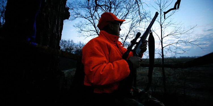 Hunters face ammunition shortage ahead of the gun deer season