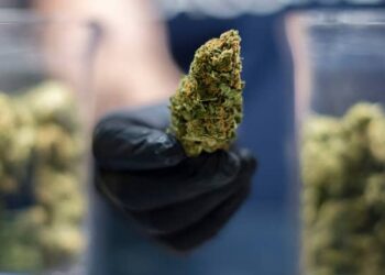 Madison decriminalizes use and possession of marijuana, asks state to follow