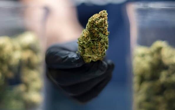 Madison decriminalizes use and possession of marijuana, asks state to follow