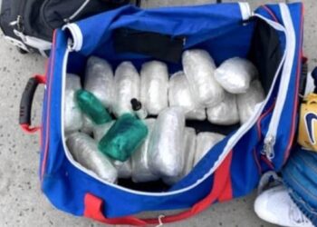 Cubs prospect arrested, after police discover 21 lbs. of meth and oxycodone in equipment bag