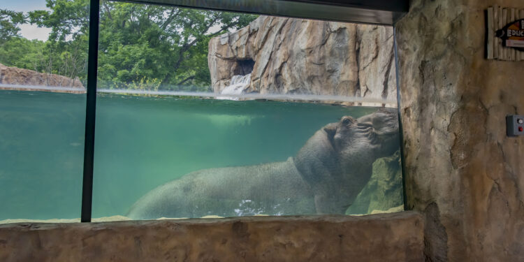 PHOTOS: Long time Milwaukee County Zoo director leaves lasting legacy