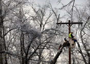 Ice and freezing rain taking down trees and power lines