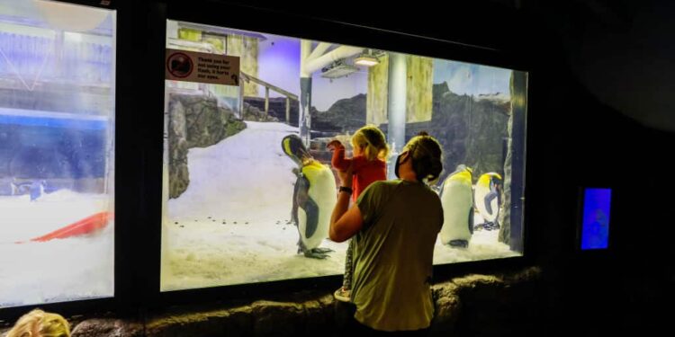 Travel Wisconsin 2-12-22: Racine