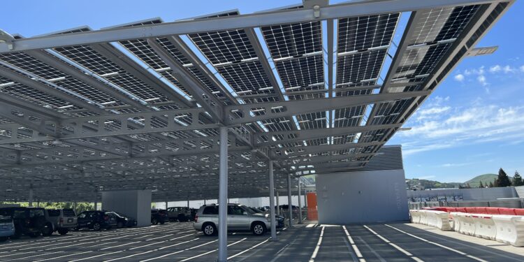 Eco-friendly, sustainable business opportunities are possible