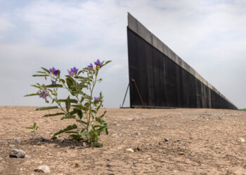 “It’s a true risk that they take, and they know about it;” Woman who works along U-S-Mexico border speaks about immigrants dangerous journey
