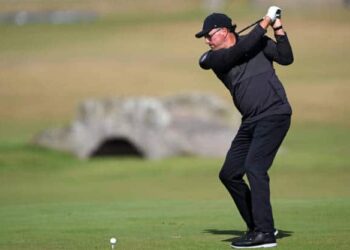 Extra Points: If A Tree Falls…