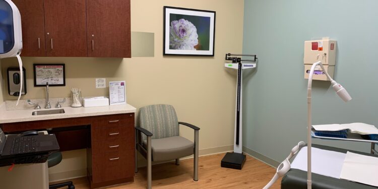 Planned Parenthood of Illinois, Wisconsin announce partnership to provide abortion care to Wisconsinites