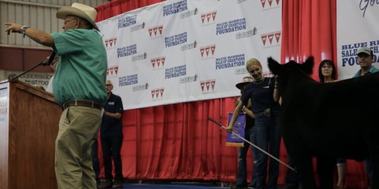 $321,950 raised at the Governor’s Blue Ribbon Livestock Show 2022