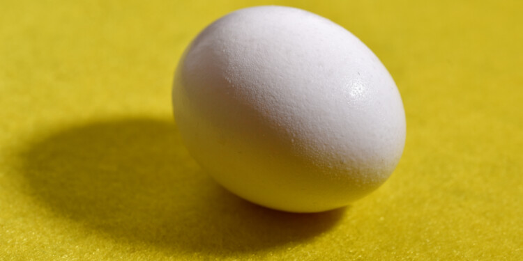 Milwaukee Public Schools offers eggcellent deal on eggs through student program