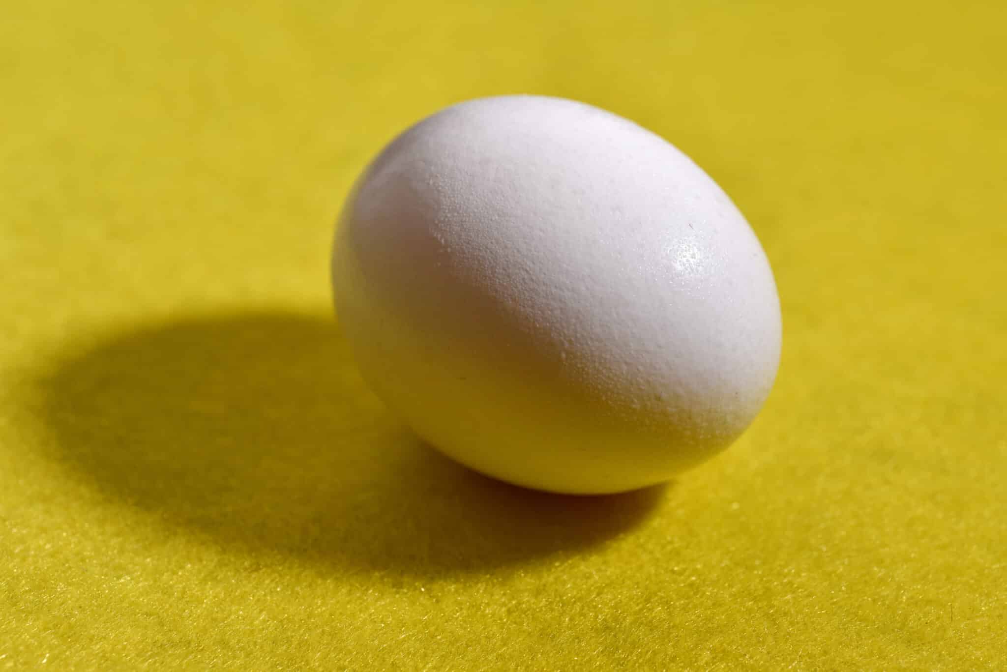 Egg recall in Wisconsin due to salmonella WTMJ