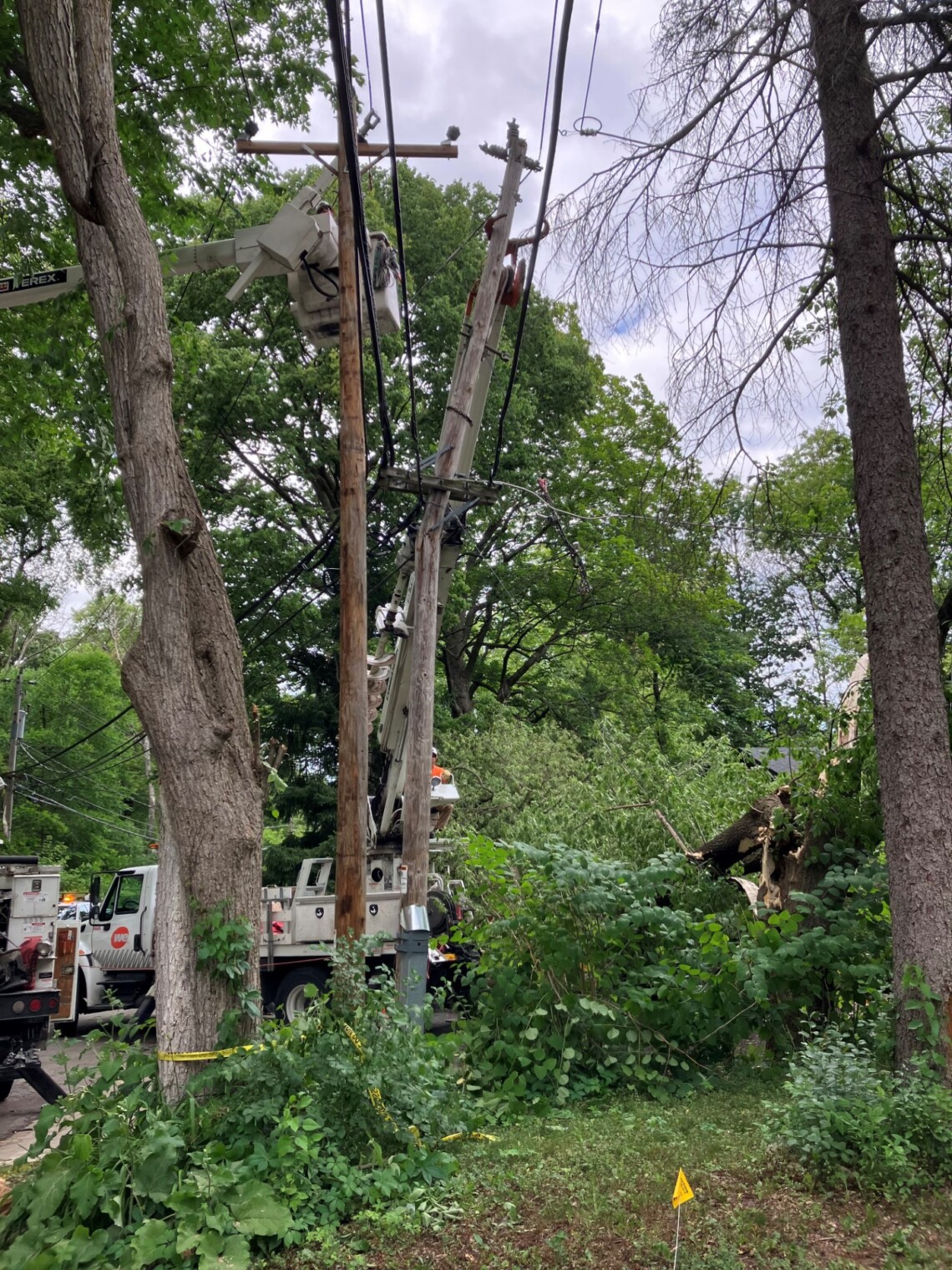 Tens of thousands without power after strong winds overnight - WTMJ