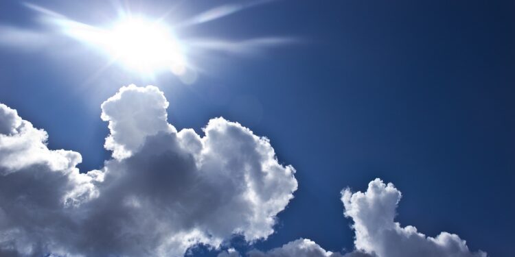 Unprecedented warmth in November? TMJ4 meteorologist forecasts near-record heat & bugs are surviving because of it