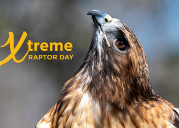 “What’s On Tap?” for the weekend of 11/03/23