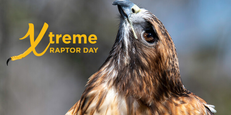 “What’s On Tap?” for the weekend of 11/03/23