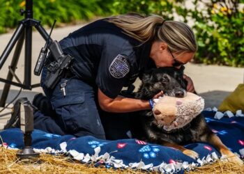 WTMJ Conversations: Holly McManus