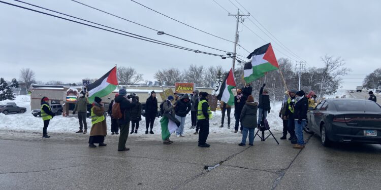 Pro-Palestinian protestors