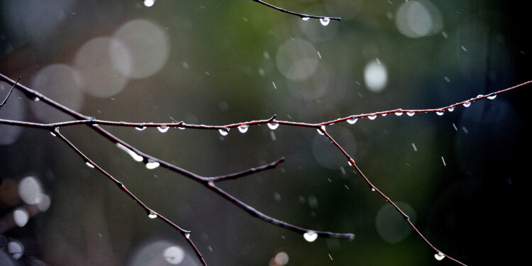 Storms expected to overshadow Southeast Wisconsin’s clear, sunny skies starting Tuesday evening