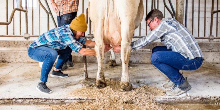 Travel Wisconsin: Lessons in Dairy