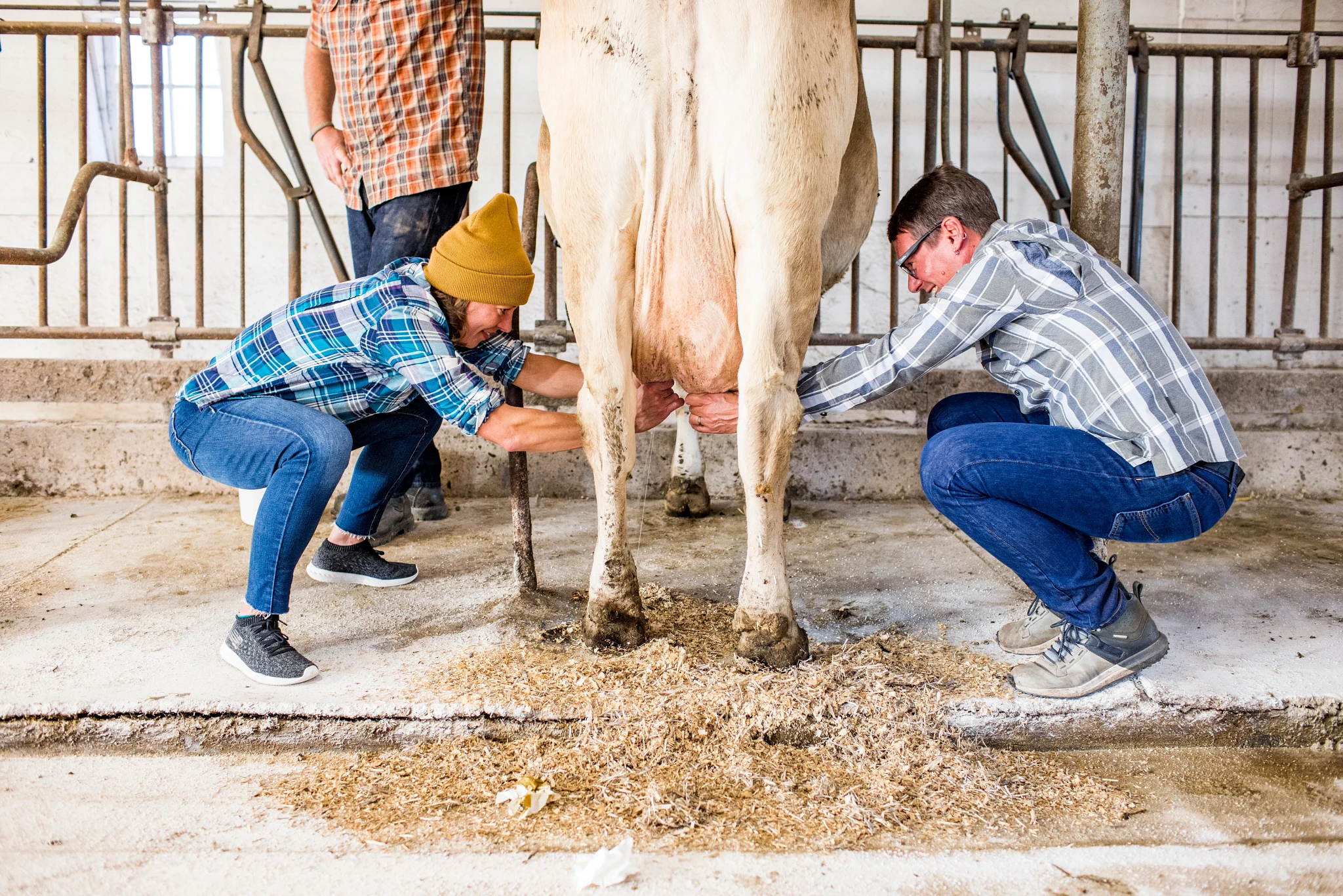 Travel Wisconsin: Lessons in Dairy