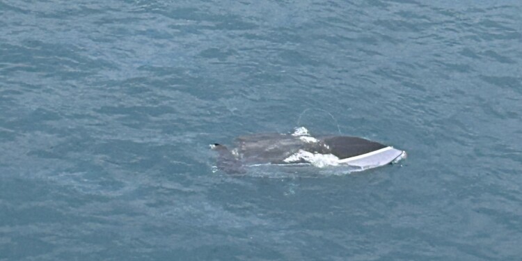 2 dead after boat sinks in Lake Michigan
