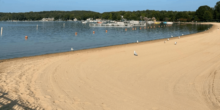 Toxic Algae Bloom shuts down beaches; impacts late-summer swim