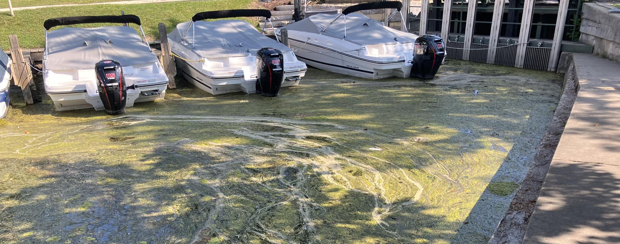 Beaches in Lake Geneva are slowly reopening as blue-green algae spread