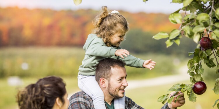Travel Wisconsin: Apple Orchards