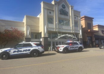 Single shot fired at a Madison mall