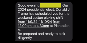 Young Milwaukee woman targeted by racist text after election