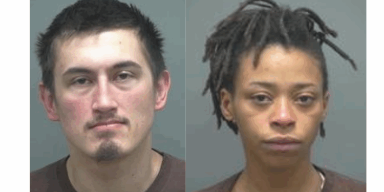 Child abandoned on road after car theft in Janesville