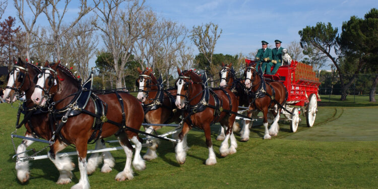 This ad exec says there is only one thing worse than a failed Super Bowl ad – Wis. Morning News