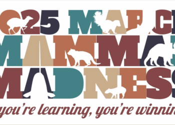 2025 March Mammal Madness w/ Spanning the State