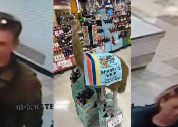 Update: Reward offered for information leading to missing Slinger Emu