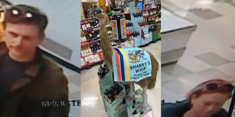 Update: Reward offered for information leading to missing Slinger Emu