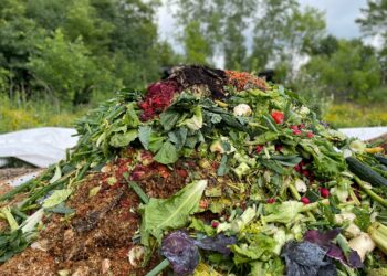 Milwaukee kicks off a food recovery mission with FEED MKE