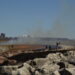 Lakeshore State Park Prescribed Burn