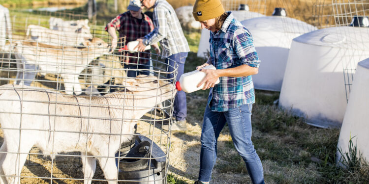Travel Wisconsin: Dairy Month