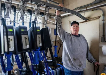 Wisconsin dairy farmer sues Trump administration claiming discrimination against white farmers