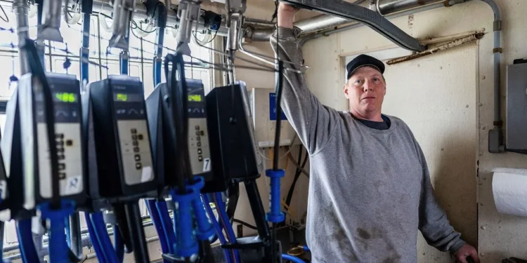 Wisconsin dairy farmer sues Trump administration claiming discrimination against white farmers