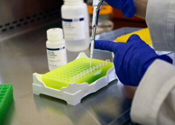 Wisconsin resident dies from Powassan virus; DHS recommends testing and tick bite prevention