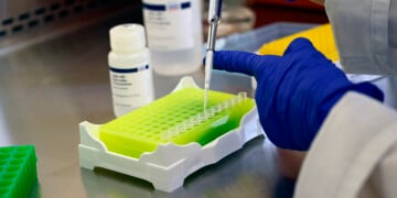 Wisconsin resident dies from Powassan virus; DHS recommends testing and tick bite prevention