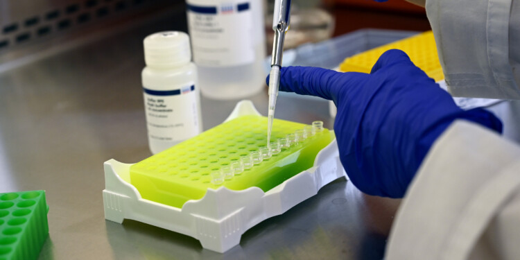 Wisconsin resident dies from Powassan virus; DHS recommends testing and tick bite prevention