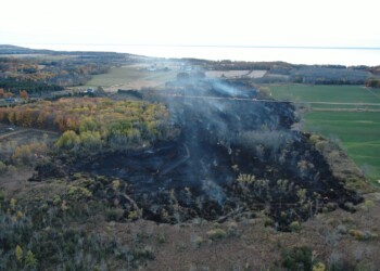 Brush fire in Door County leads to 70 acres destroyed