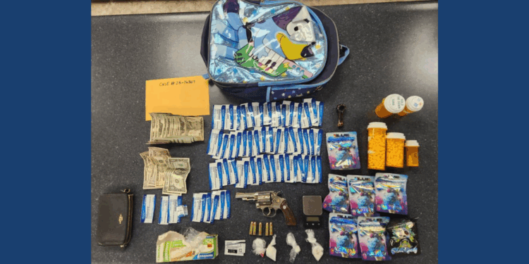 K9 helps Germantown Police find drugs and gun during traffic stop